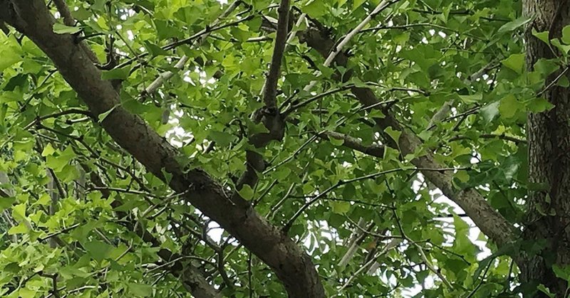 子供じゃない 鈴木 秀之 Note