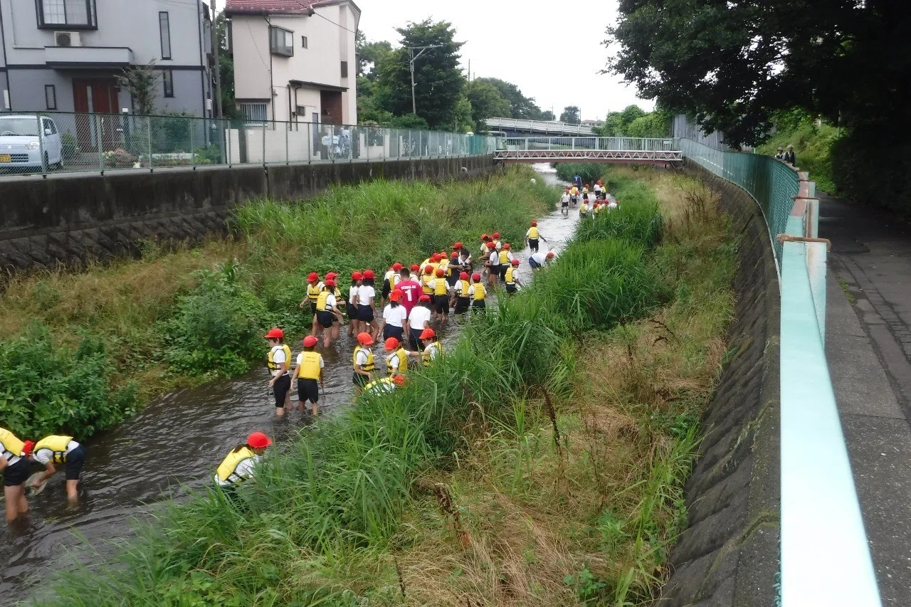 東久留米市神宝小学校5年生のみんなと落合川 黒目川の生態調査をしました 東久留米川クラブ Note