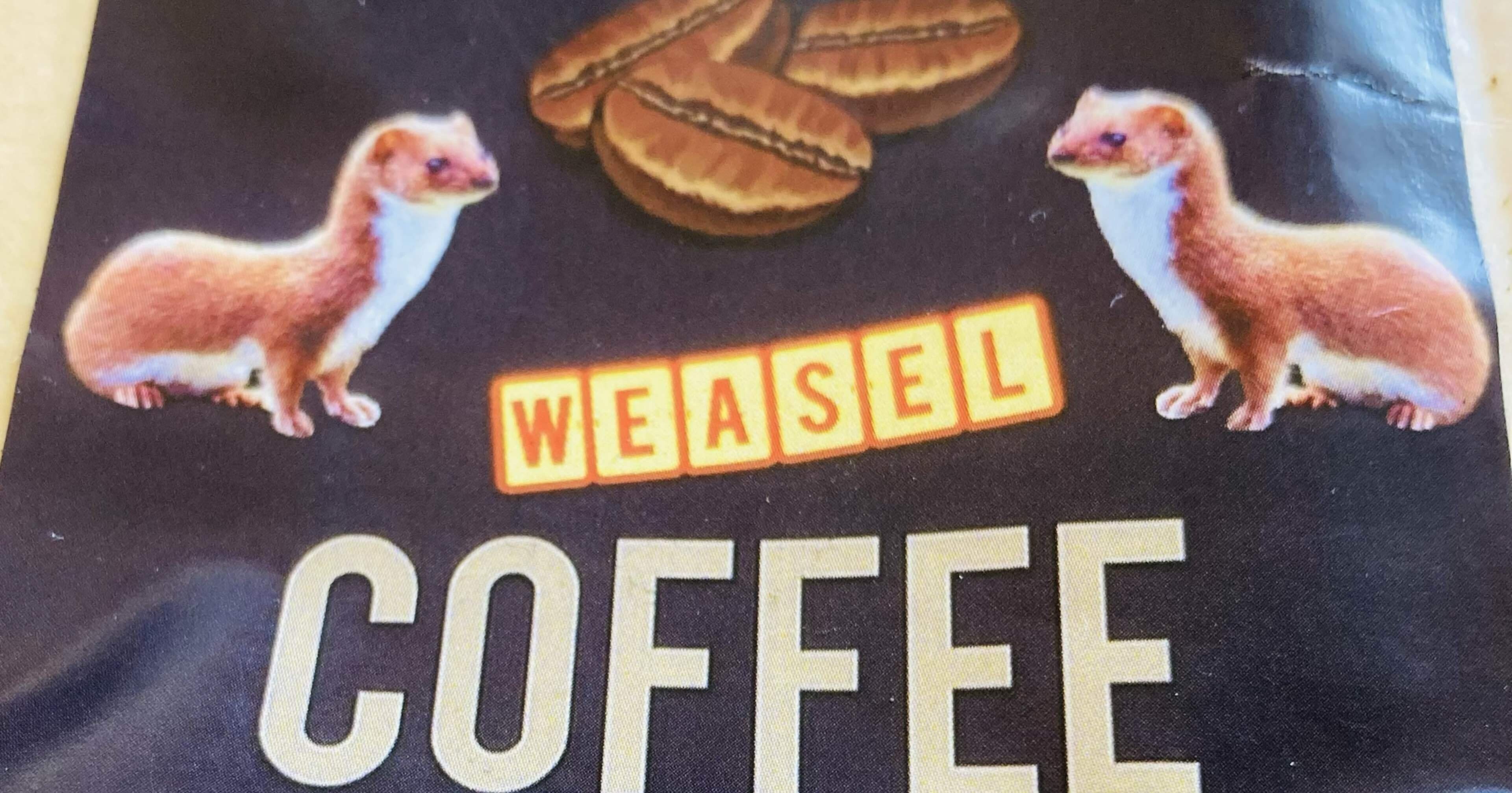 ジャコウネココーヒー」って⁈ 最高級豆で楽しむ上質な時間｜forestchild