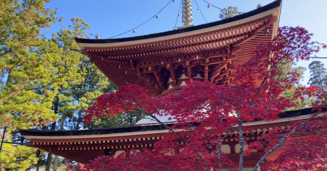 掛軸 高野山 金剛峯寺 白象 亡き母の小さき座布団伊予絣 木箱