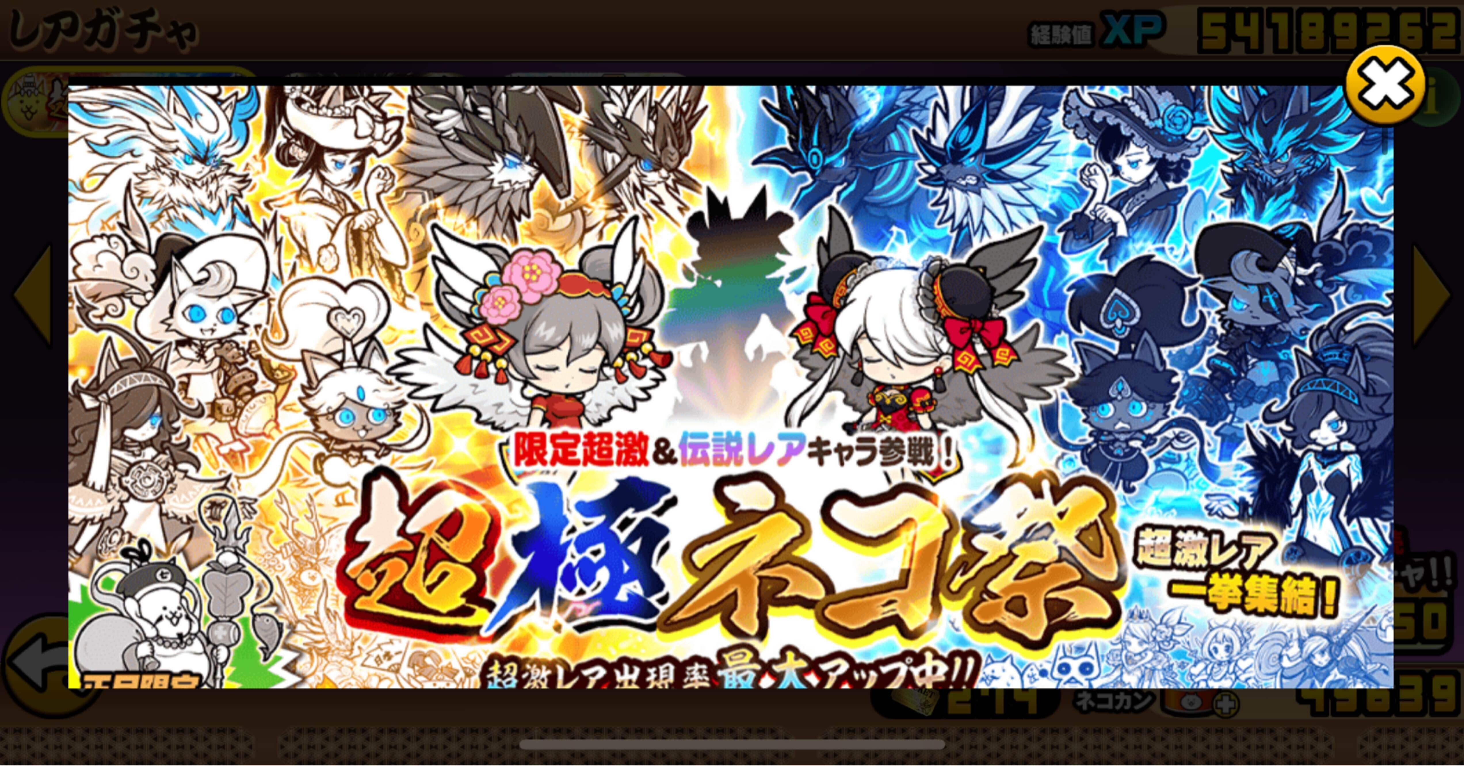 超極ネコ祭333連結果！！（2024年お正月版）｜つめて