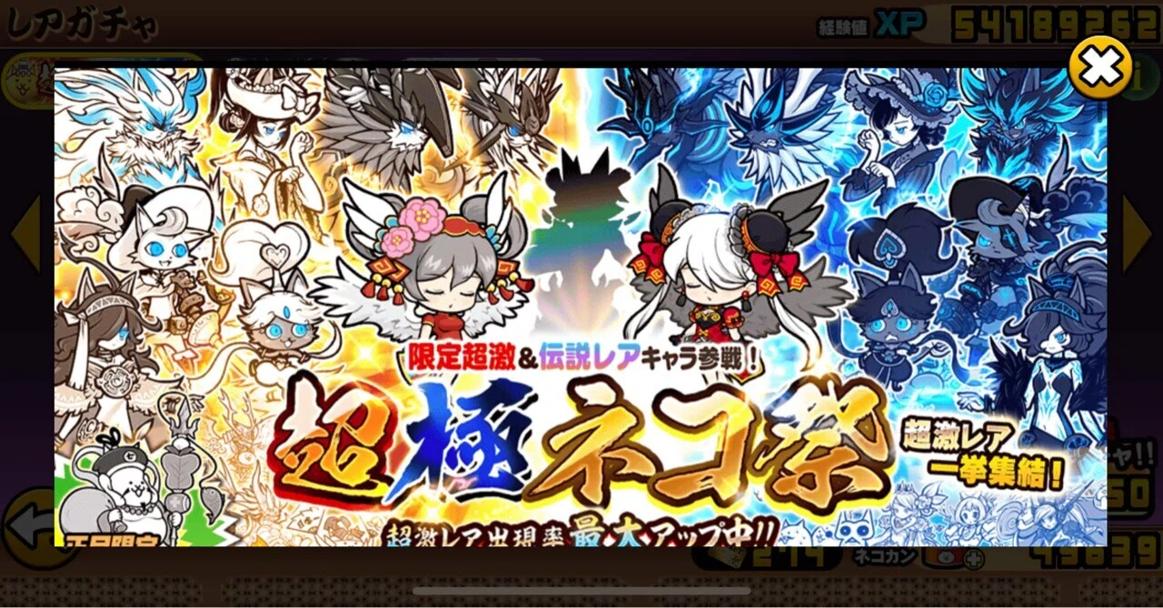 超極ネコ祭333連結果！！（2024年お正月版）｜つめて