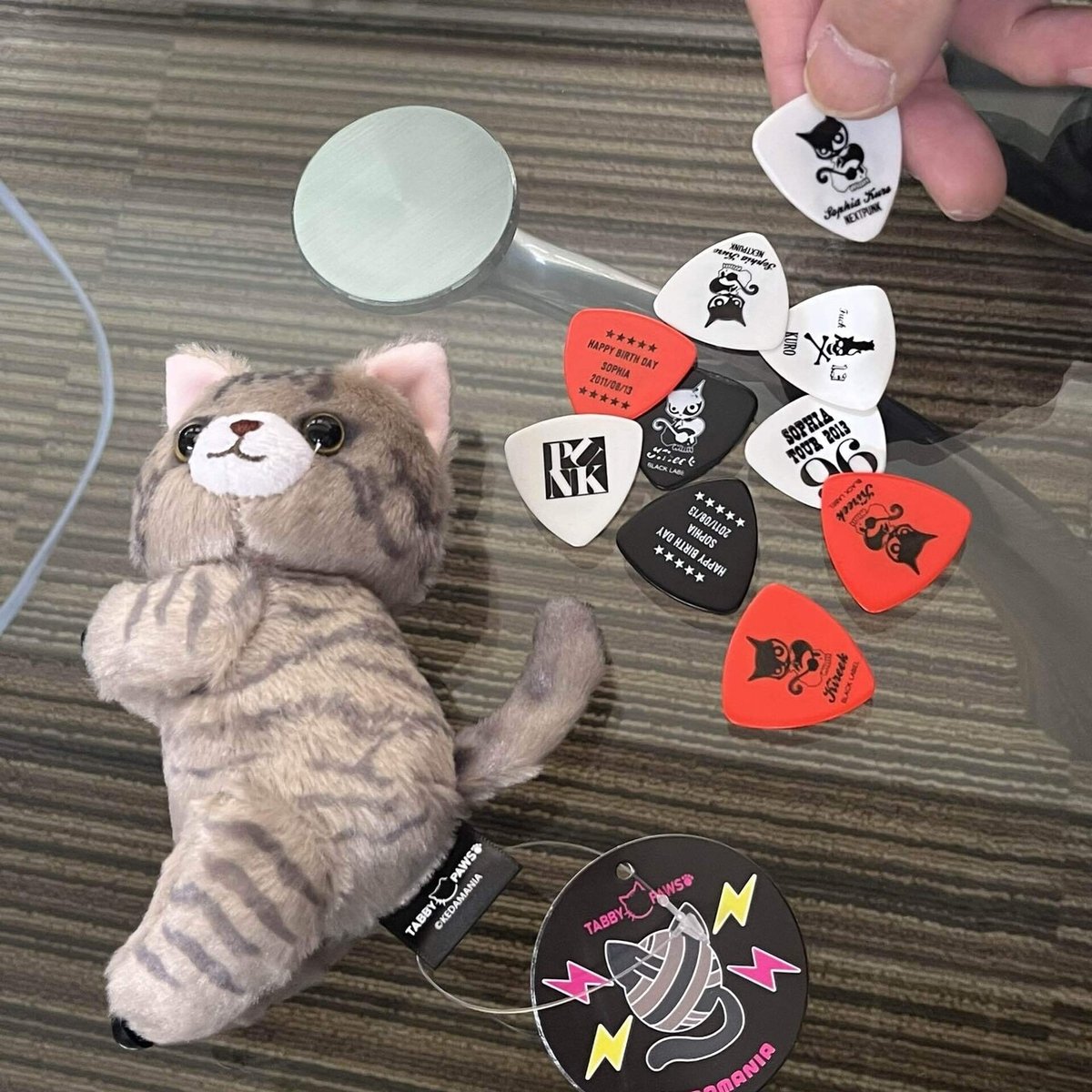 だっこにゃん発売するよ！｜黒柳 能生 公式note