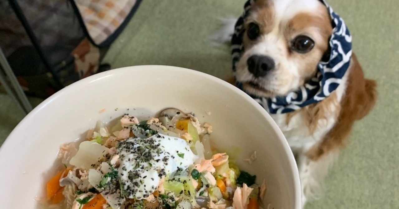 犬ブログ の人気タグ記事一覧 Note つくる つながる とどける