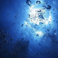 No 004 悲しみよこんにちは フランソワーズ サガン 紫蘭 Note