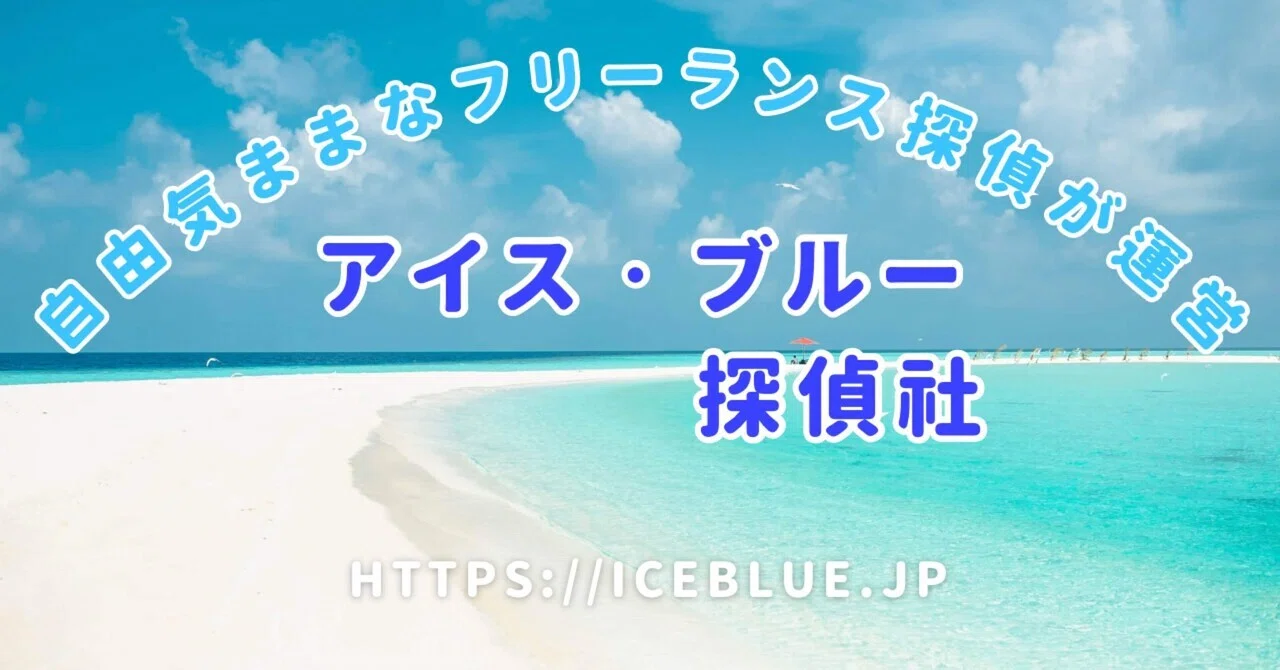 【Detective Agency Nagakute City】No consumption tax, evidence secured in ...