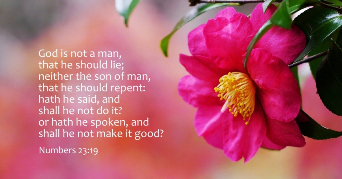 希少 レア 神を知るということ J.I.パッカー 著 改訂版 神を知るという