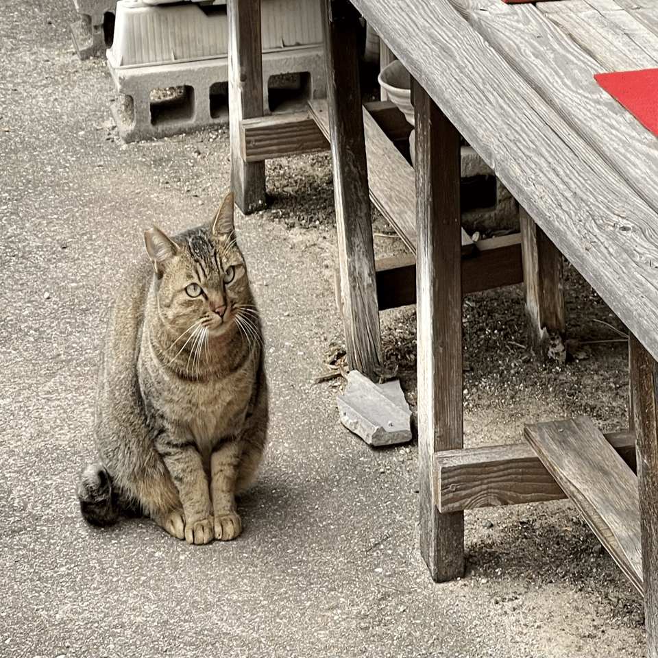 究極の古美術◼️蔵から見事な釉薬が割れたかなり高そう