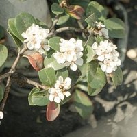 Everything In Its Right Place 和訳 意訳 嘉手川瑞姫 Note Everything In Its Right Place 和訳 意訳 嘉手川瑞姫 Note