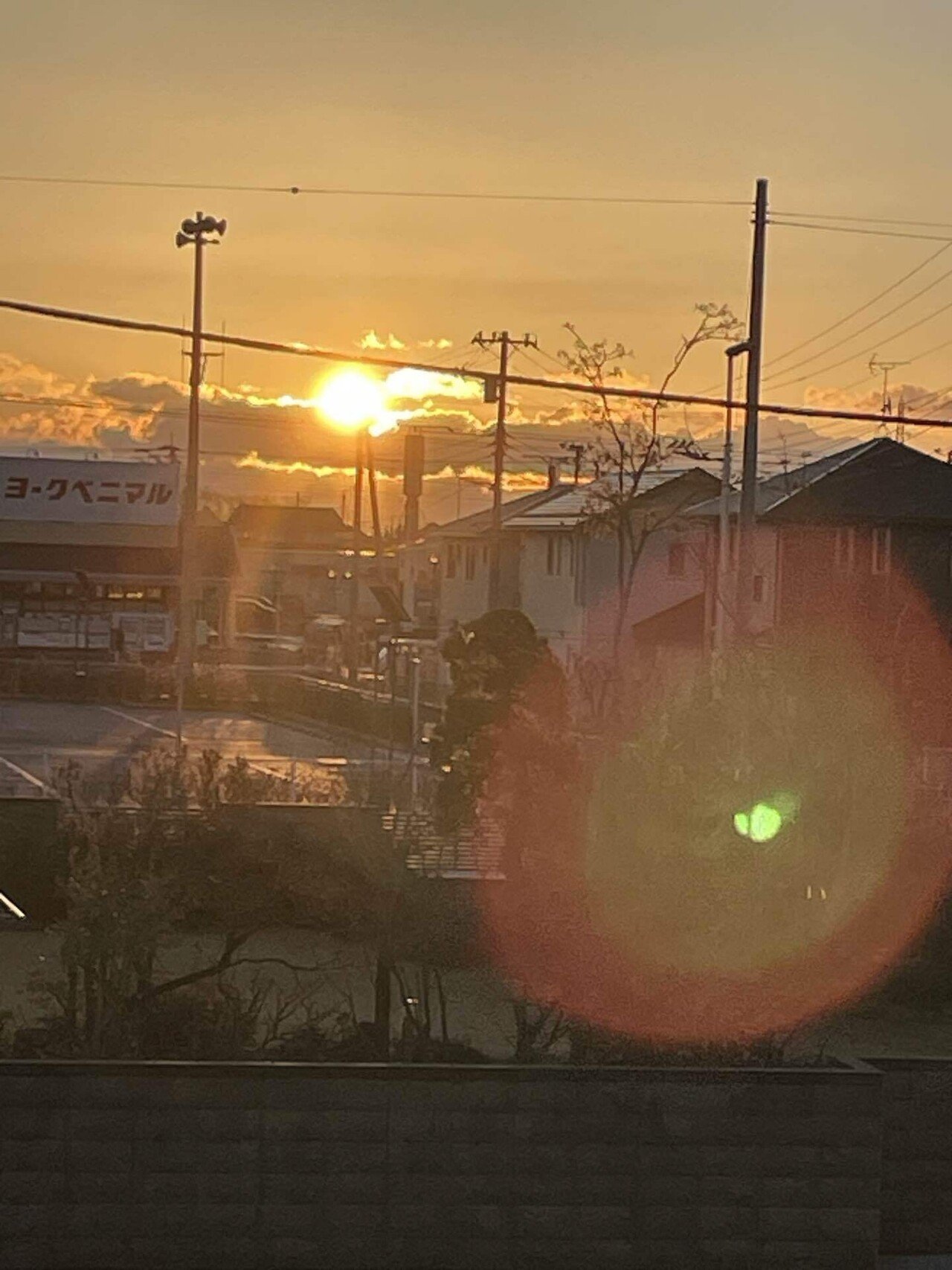 161/2024年 穏やかな年になりますようにと祈ったばかりなのに 大きな災害が起きてしまいました｡ 被災された皆様お見舞い申し上げます