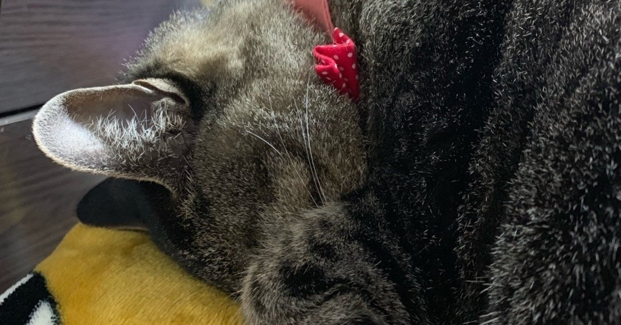 土曜の夜と日曜のあなたがいつも欲しいから をご存じですか 古い歌ですが 泥棒猫 Ing Ing Ing Note