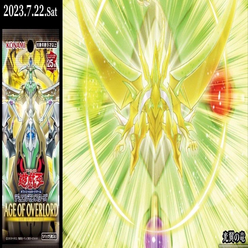 初心者向け】覇王型覇王魔術師(24.01環境)の構築とプレイの基礎｜沙里葉