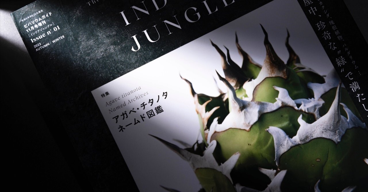 これから「アガベ チタノタ」を始めたい方へ。｜山添 太