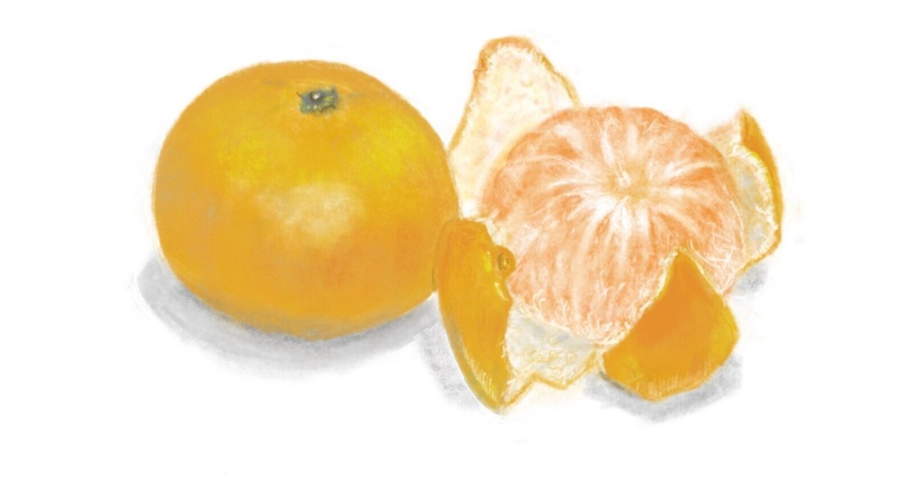 連載～静岡の歴史を学ぼう238】Mandarin Oranges in Japan and