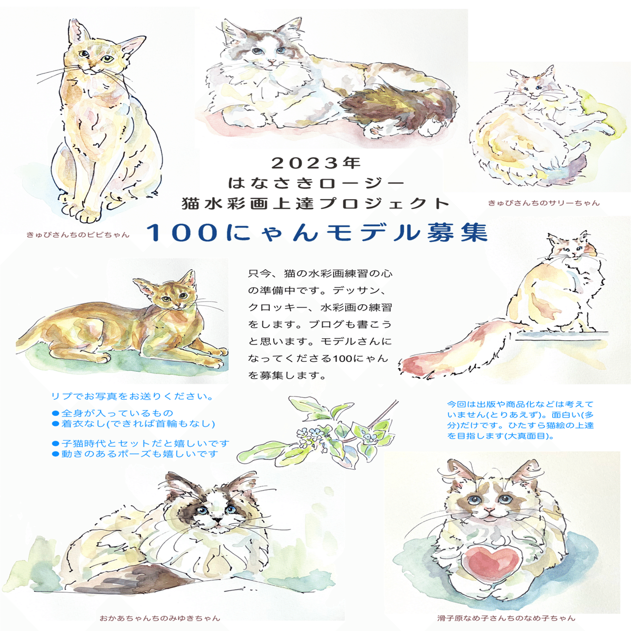 note始めます｜はなさきロージー