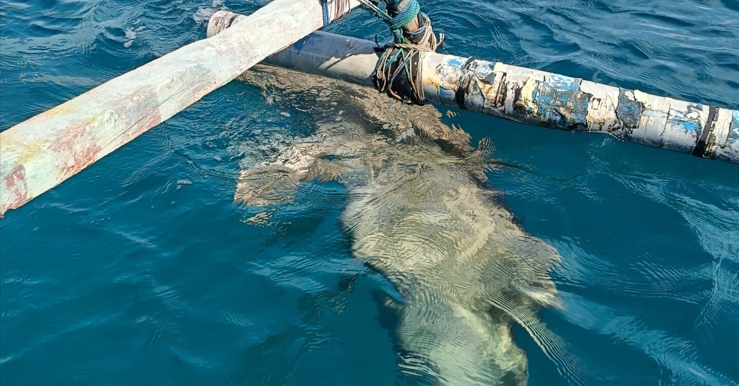 インドネシアの島めぐり19日目 アロール島でジュゴンに遭遇 + トゥティ