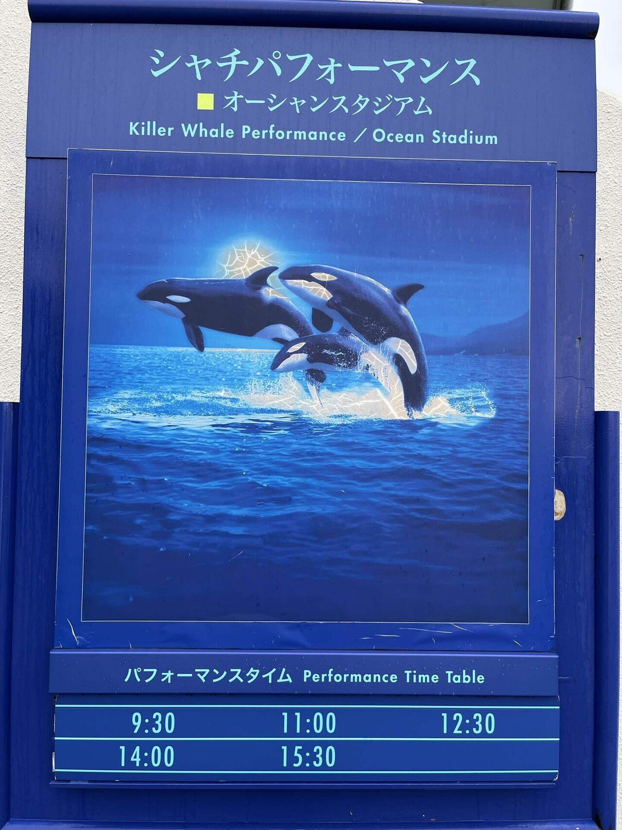 レア】鴨川シーワールド シャチ ポスター（B2サイズ） 鴨川シー