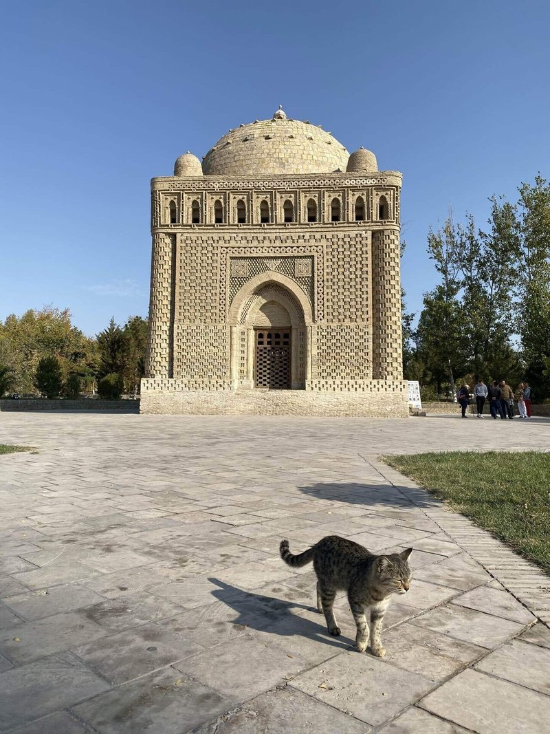 石造りの廟の全景。手前には猫がいる。