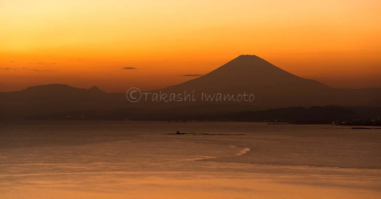 日本を感じる景色、富士山｜フォト/ビデオグラファーTAKASHI