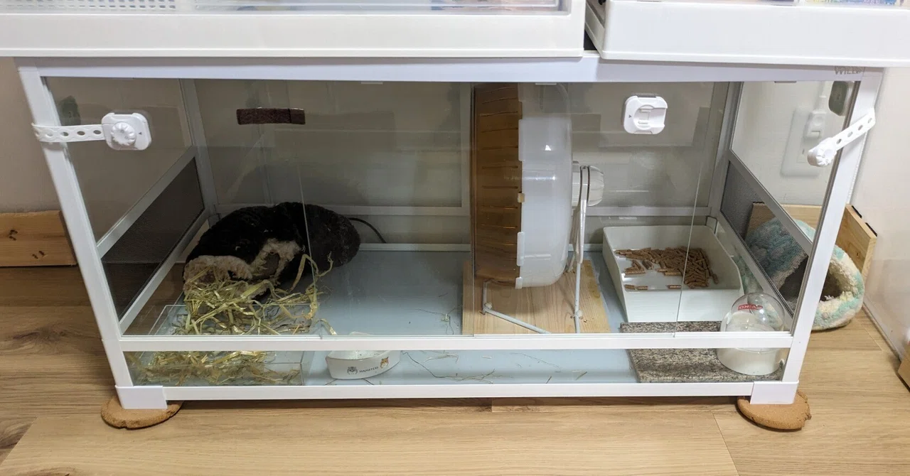 回し車付き」チンチラゲージ ケージ 小動物用ケージ 80cm 小鳥や 回し車付き」チンチラゲージ ケージ 小動物用ケージ 80cm 小鳥や