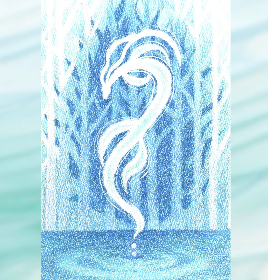 水の龍｜Masami