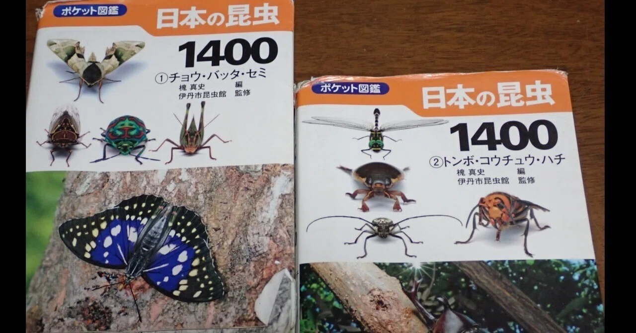 フィールドで一番使える昆虫図鑑 ～『日本の昆虫1400』文一総合出版