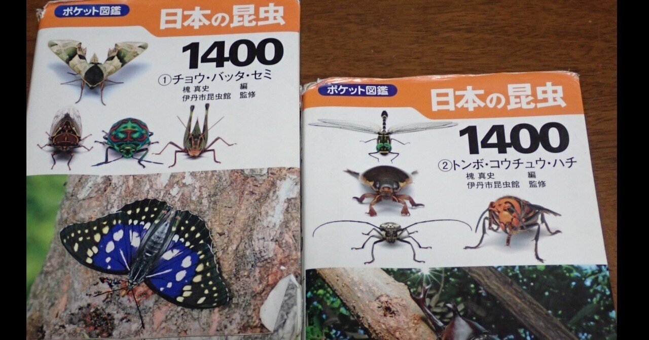 埼玉県昆虫誌 1-3 別巻 セット 埼玉県昆虫誌 1-3 別巻 セット 埼玉県昆虫誌 全5巻揃(