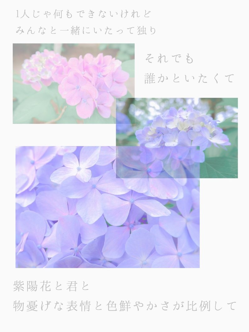 紫陽花のうた 星野 カナタ Note 紫陽花のうた 星野 カナタ Note