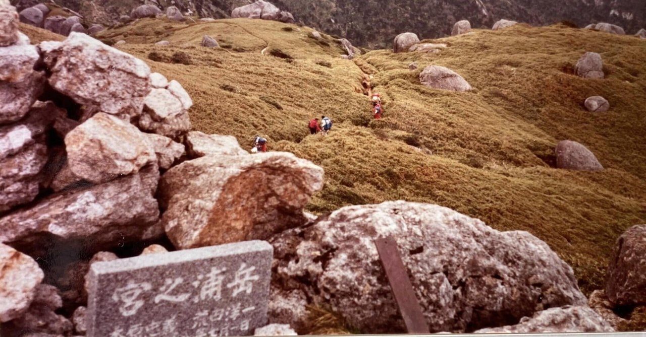 永球二歳　薩摩茶屋　屋久の石楠花　ひとり歩き　赤利右衛門　田倉 永球二歳 薩摩茶屋 屋久の石楠花 ひとり歩き 赤利右衛門 田倉 本格