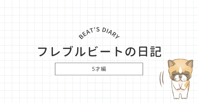 🐶フレブルビートの日記　2024.1.4