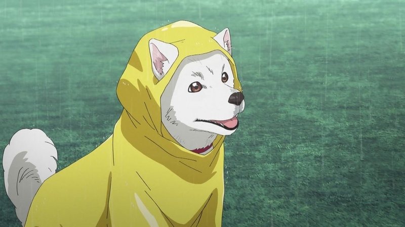 君の名は はテレビ界をも変えた リバランこわだのアウトプットnote Note 君の名は はテレビ界をも変えた リバランこわだのアウトプットnote Note