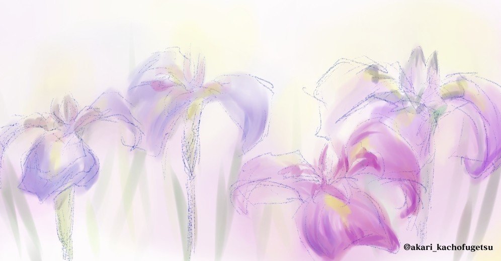 みんなのフォトギャラリー ハナショウブ たからにゃ イラスト Note