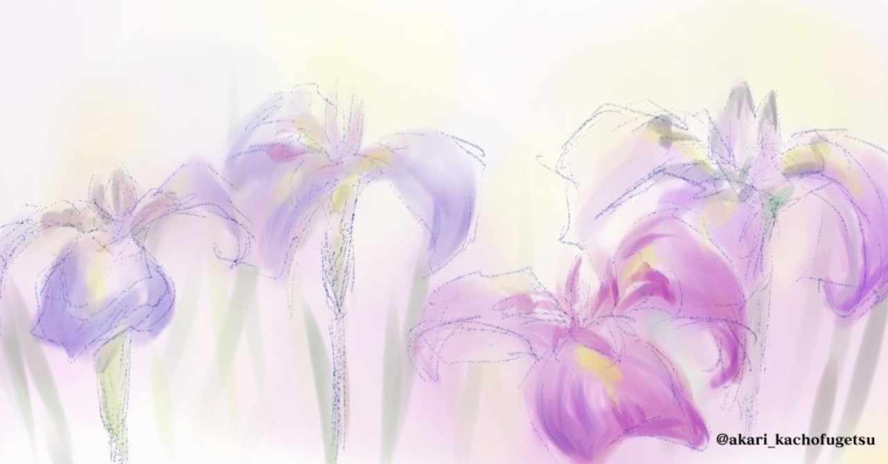 動物の壁紙 綺麗な花しょうぶ 花菖蒲 イラスト