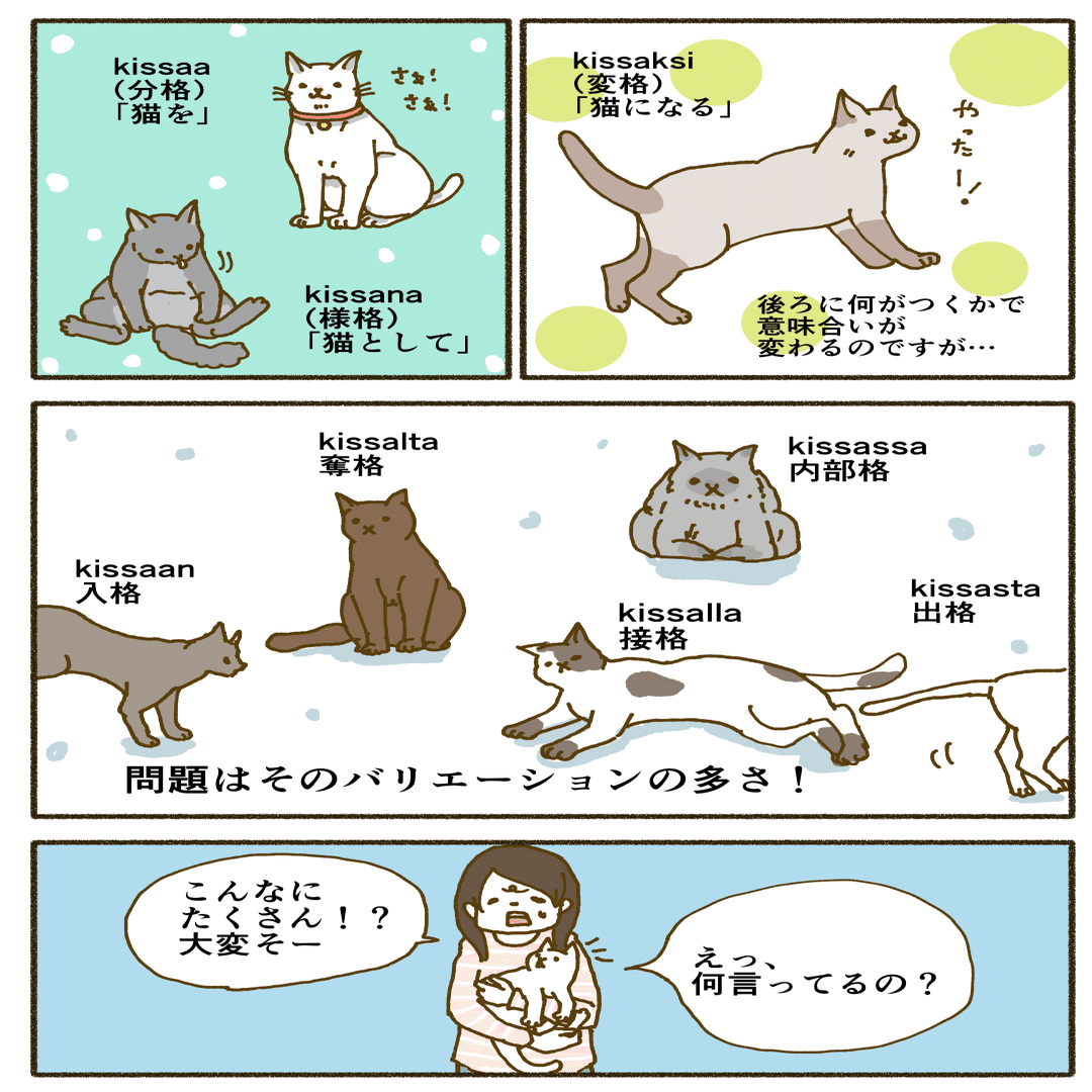 フィンランド語を学ぶときに 私の頭の中と外で起きていること3 岡崎 つく Note