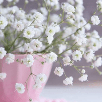 田中結花 の記事一覧 Note ノート 田中結花 の記事一覧 Note ノート