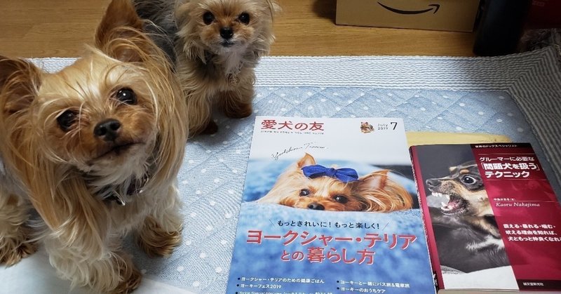 見かけによらずやんちゃな犬 の新着タグ記事一覧 Note つくる つながる とどける