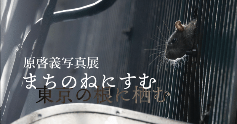 原啓義 写真展『まちのねにすむ：東京の根に栖む』を開催します（2024/ 2/22 〜 2/28）