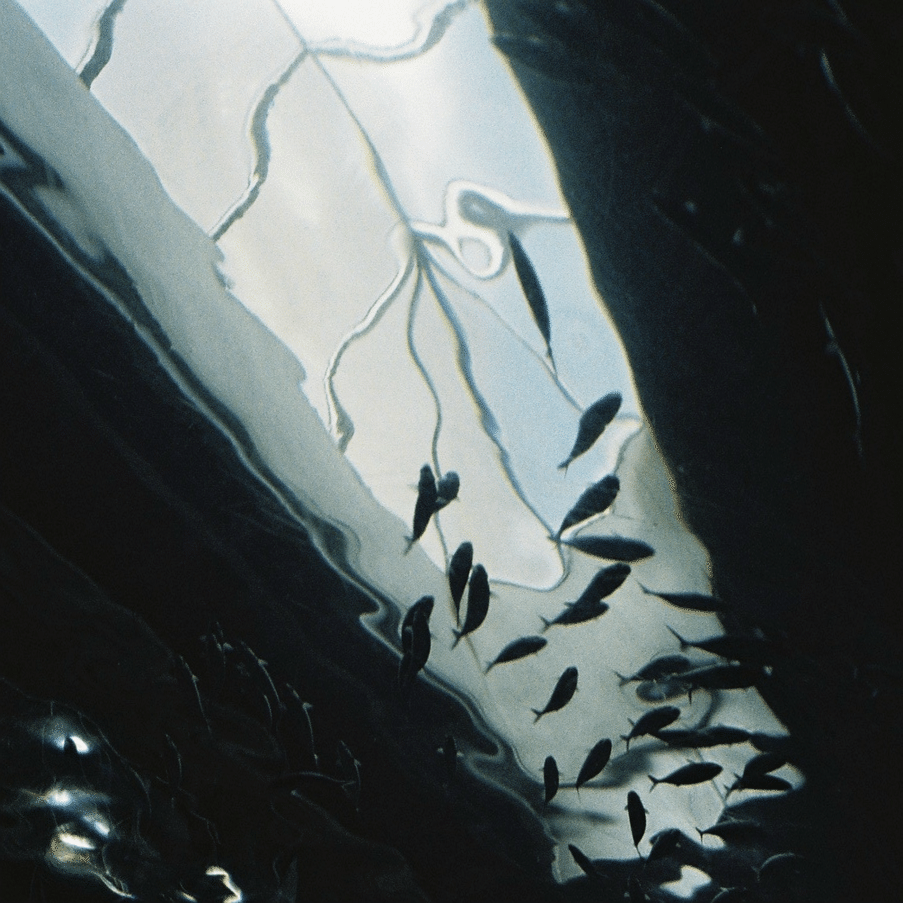 EEDフィルム （7回目の現像）｜すず