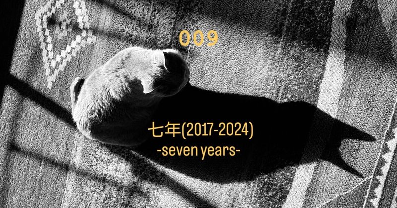 七年(2017-2024)