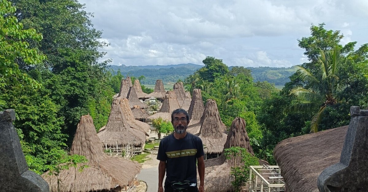 30数年前インドネシアのスンバ島で織られた珍しい，楽しいイカット