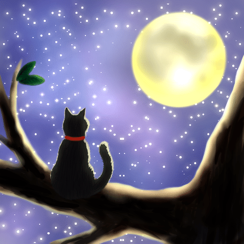 猫と満月 Hayato Note