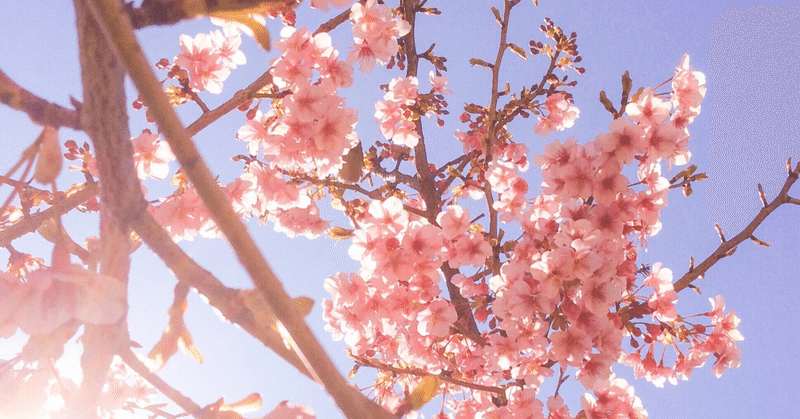 ご縁に感謝💐  病院と研究と論文と仕事