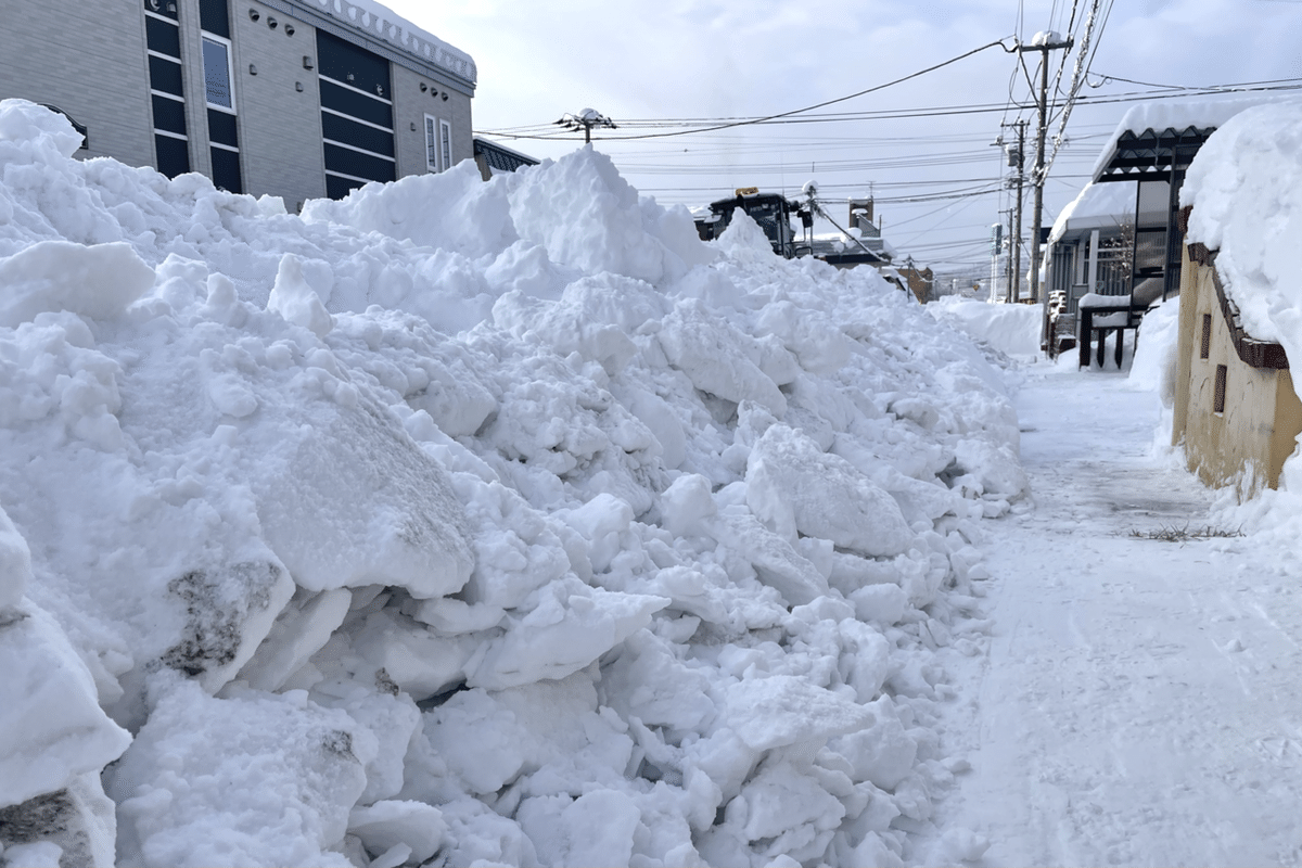 やっと来た排雪作業～｜munkusan