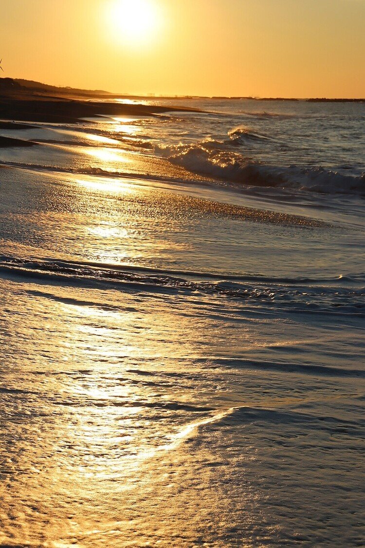 泡立つ波が次々と足元へと押し寄せる。人のいない冬の海を独り占めしながら光の道を眺める