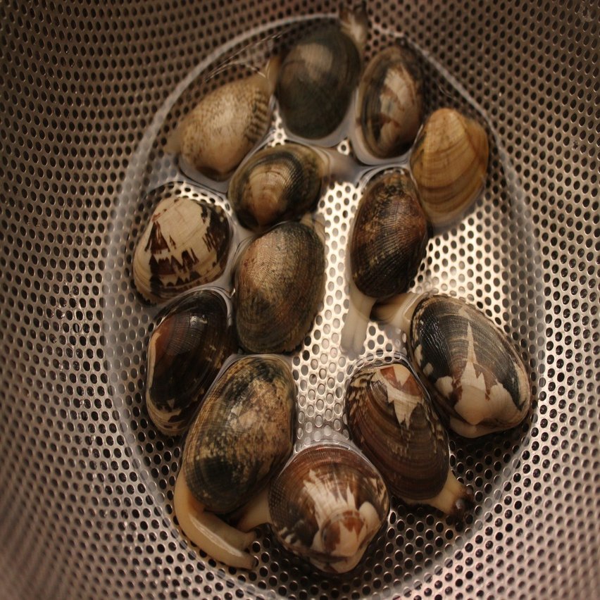 あさりとしじみのお吸い物 樋口直哉 Travelingfoodlab Note