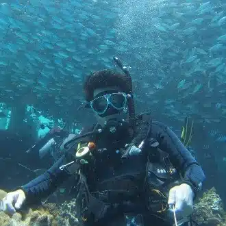 てぃむ
