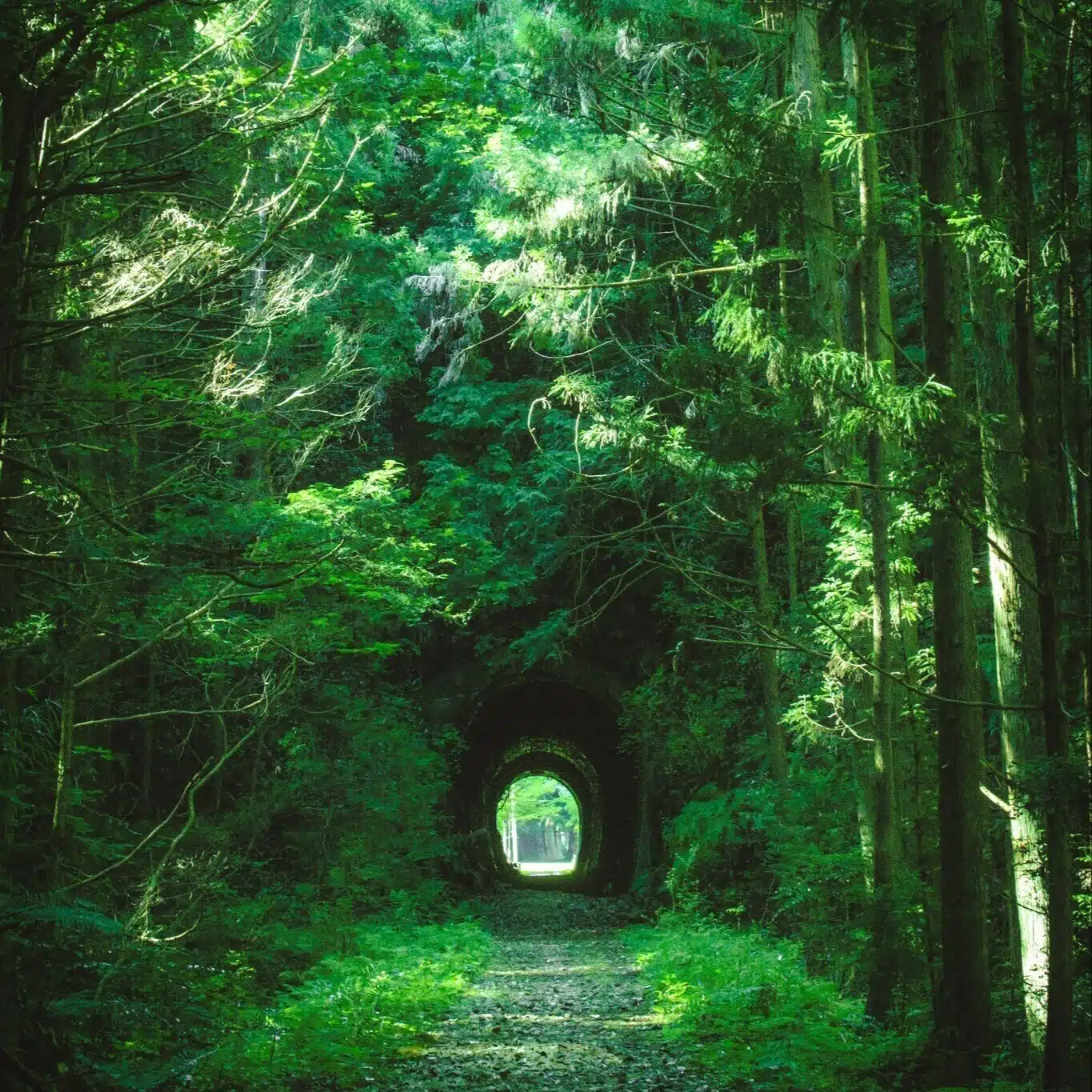 東雲旭
