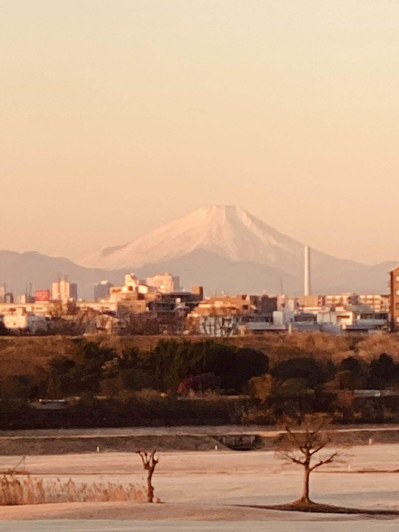 駒ヶ岳と天竜川 天竜川 - Wikipedia