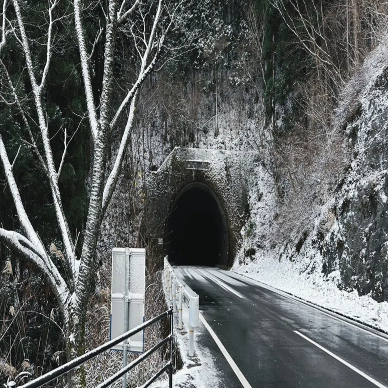 常夏の国の民、人生の初雪を堪能す｜SHIOとんび
