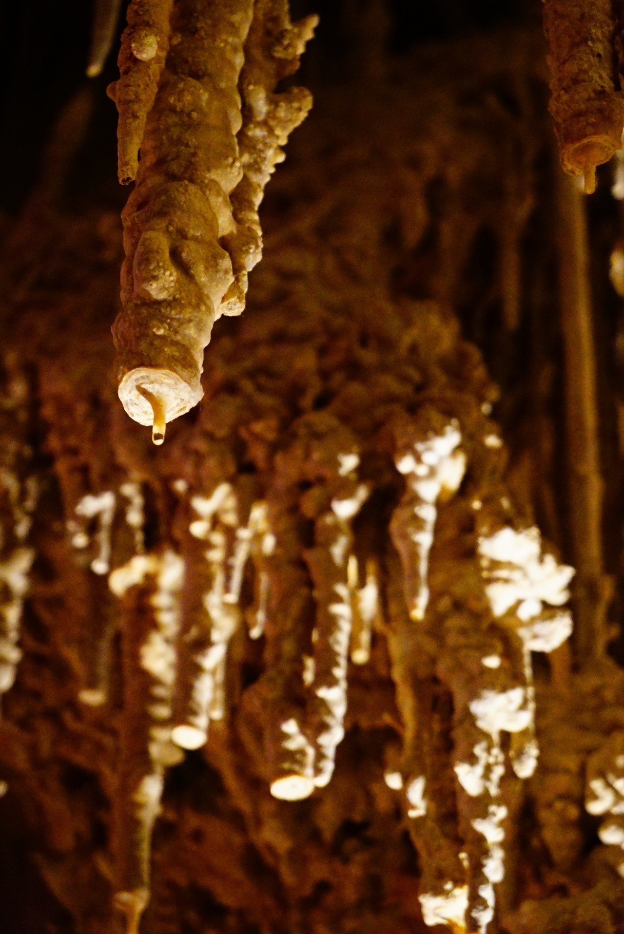 アメリカで出会った100の光景 No.29（大自然の絶景）ドラマに満ちた